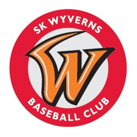  SK WYVERNS BASEBALL CLUB ΰ̹